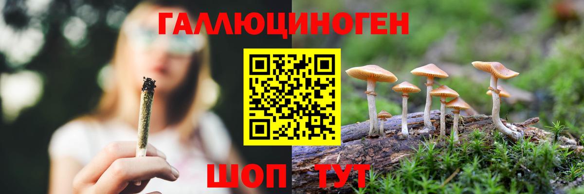 Галлюциногенные грибы мицелий  Псилоцибиновые грибы прущие грибы  Павловский Посад  Вход с VPN 